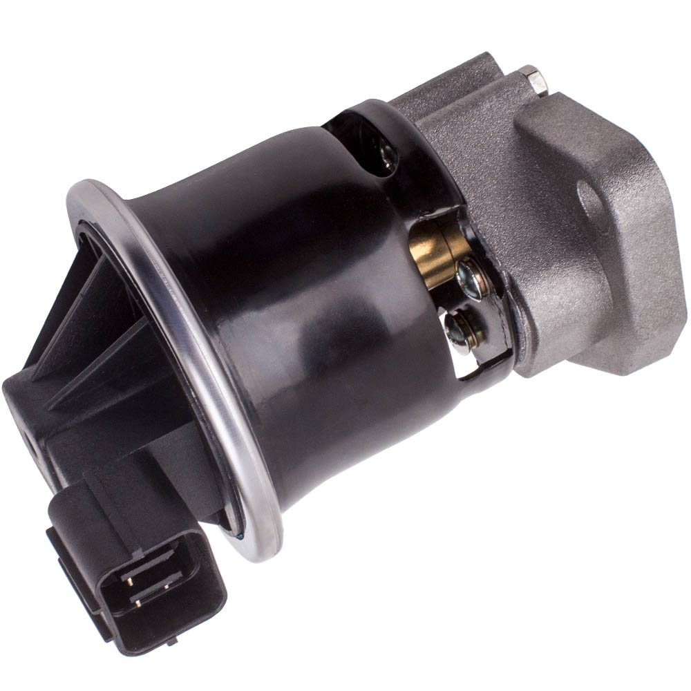 Egr honda accord