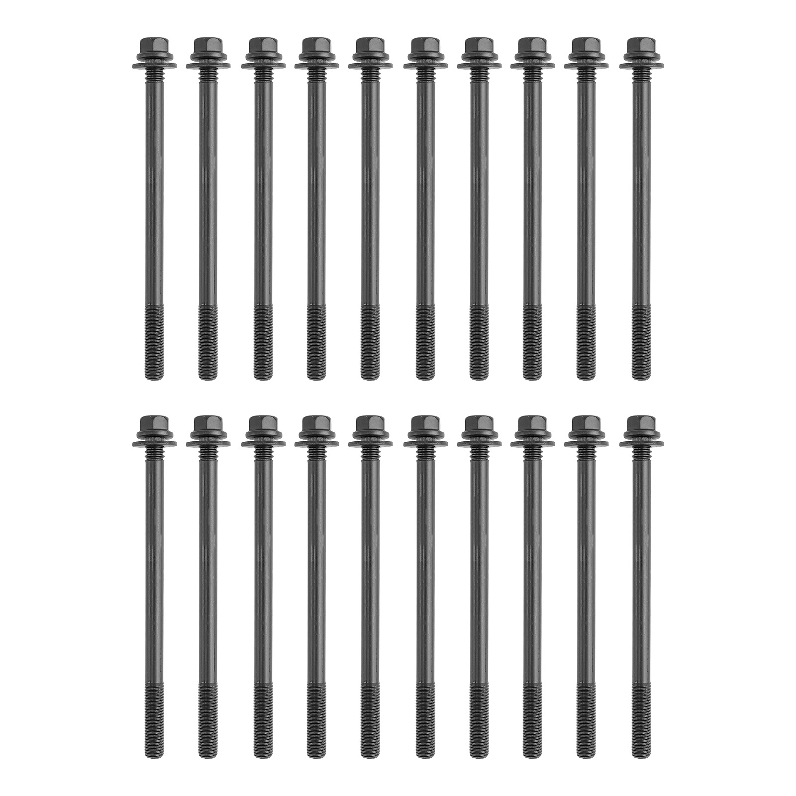 Head Gasket & Timing Chain Kit w/ Sprockets for Dodge Dakota 4.7L V8 2008-2010