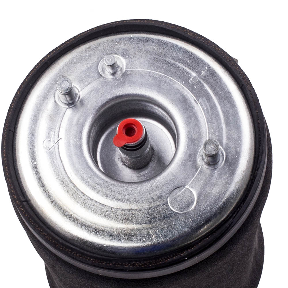 2x Air Suspension bag for BMW X5 E53 00-06 Rear 3.0i 4.4i 4.6/4.8is 37126750355