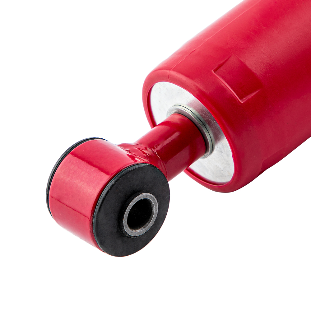 Front Struts Rear Shocks for Ford F150 04-08 Lincoln Mark LT 06-08 RWD